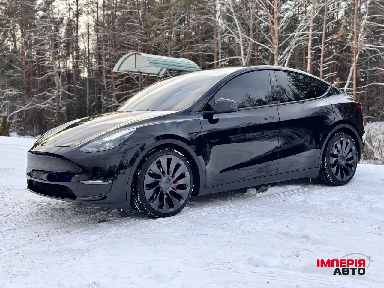 Tesla Model Y - фото 1