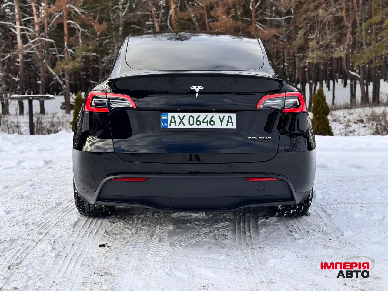 Tesla Model Y - фото 7