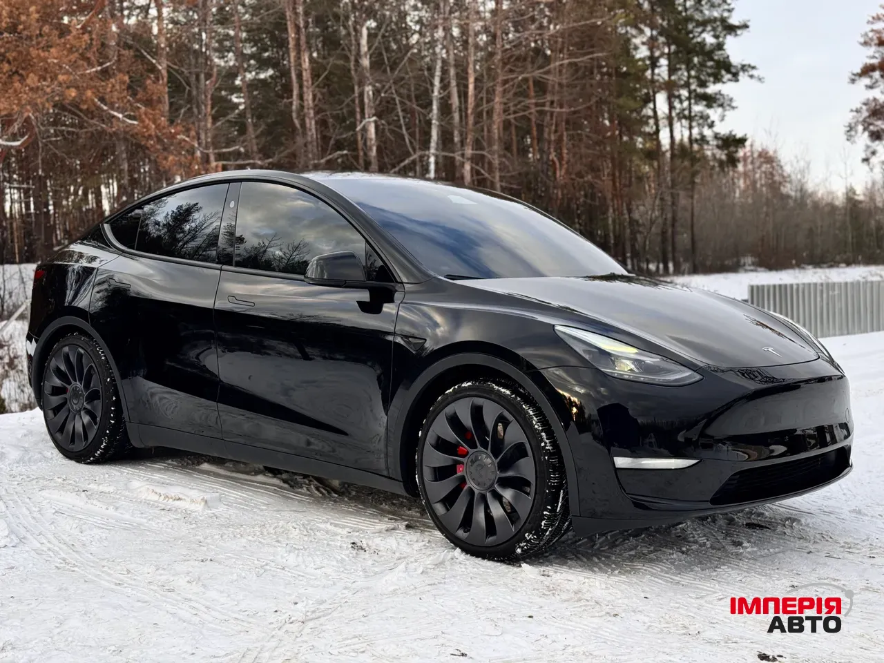 Tesla Model Y - фото 2