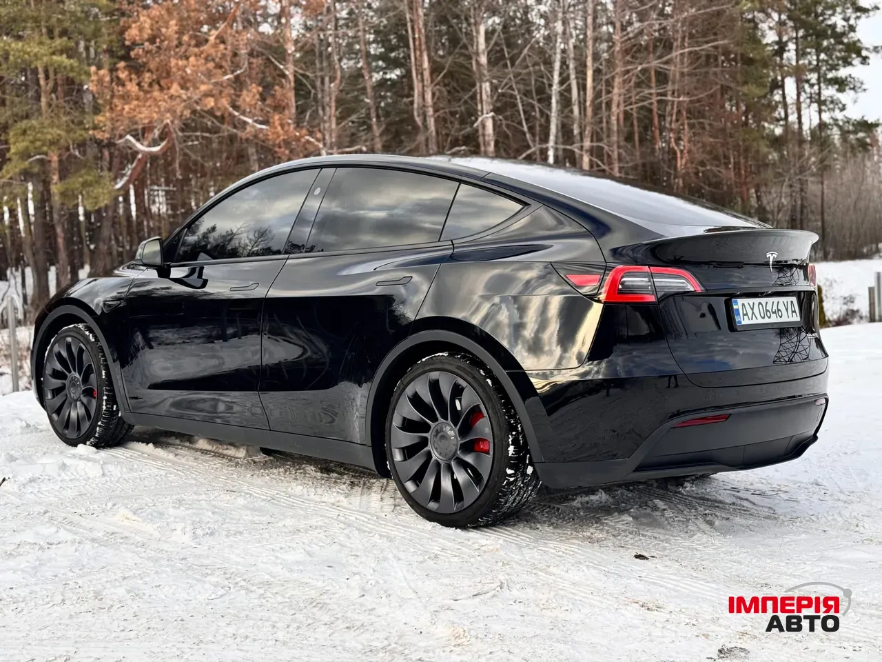 Tesla Model Y - фото 3