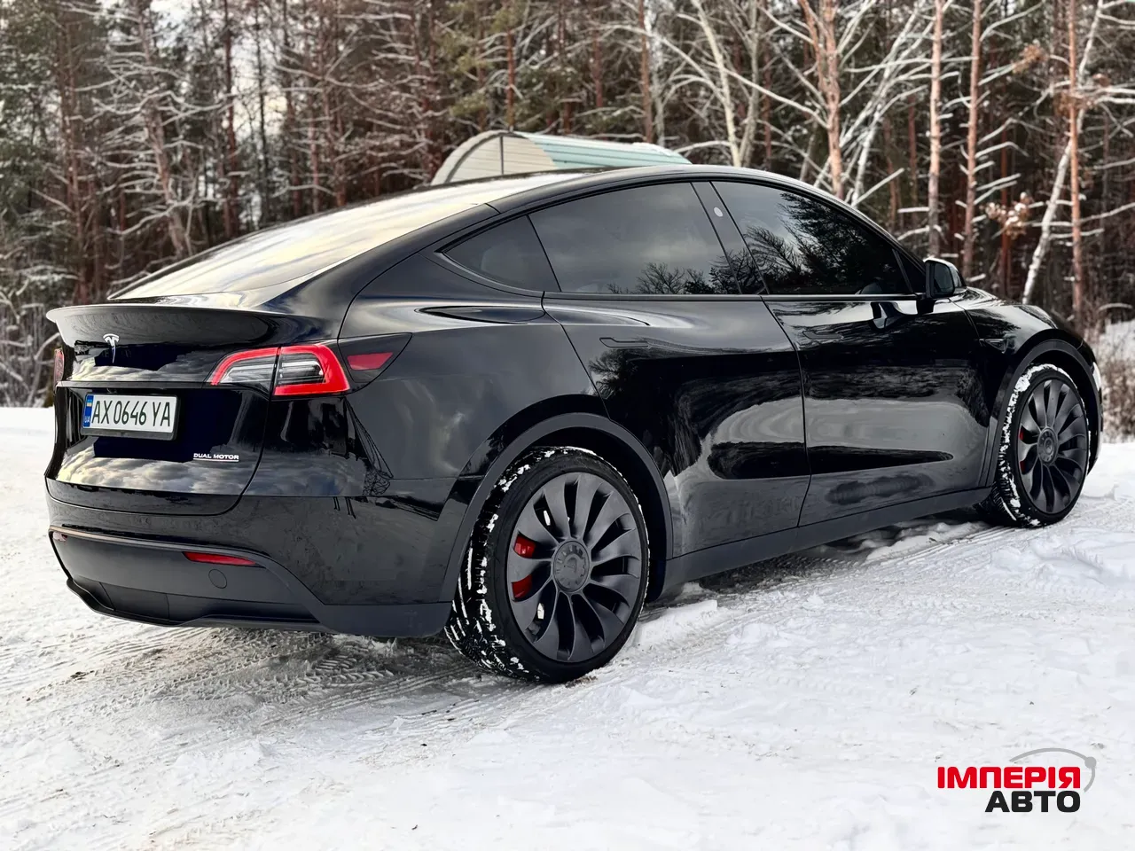 Tesla Model Y - фото 4