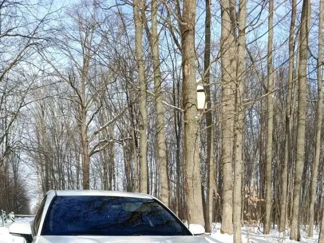 Toyota Camry - фото 3