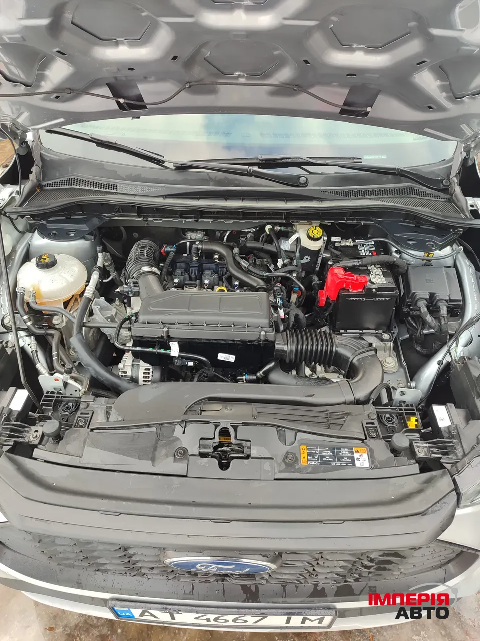 Ford Escape - фото 29