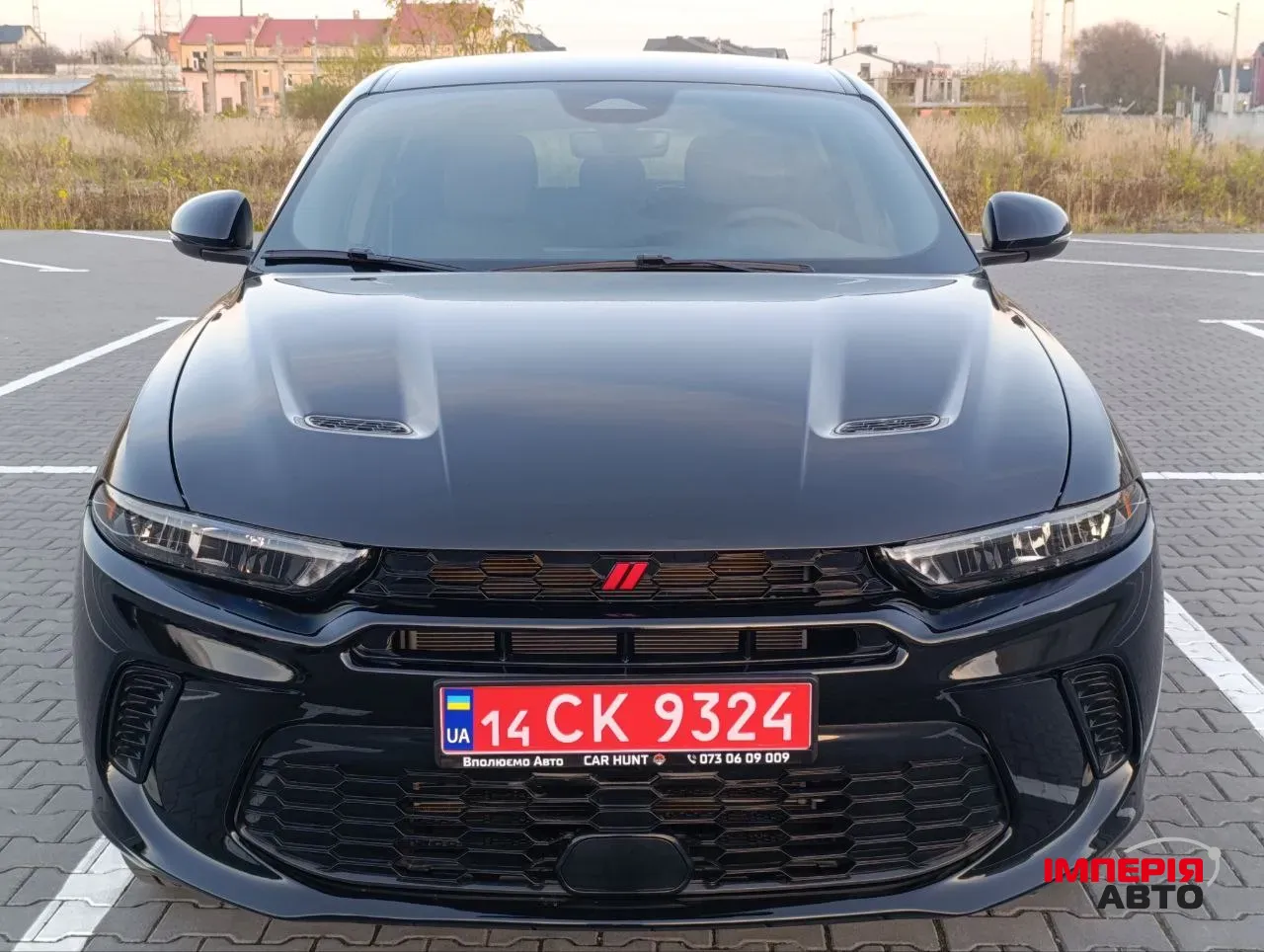 Dodge Hornet - фото 25