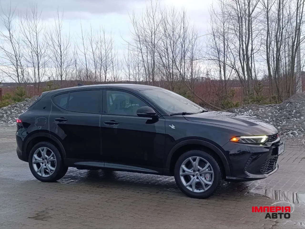 Dodge Hornet - фото 3