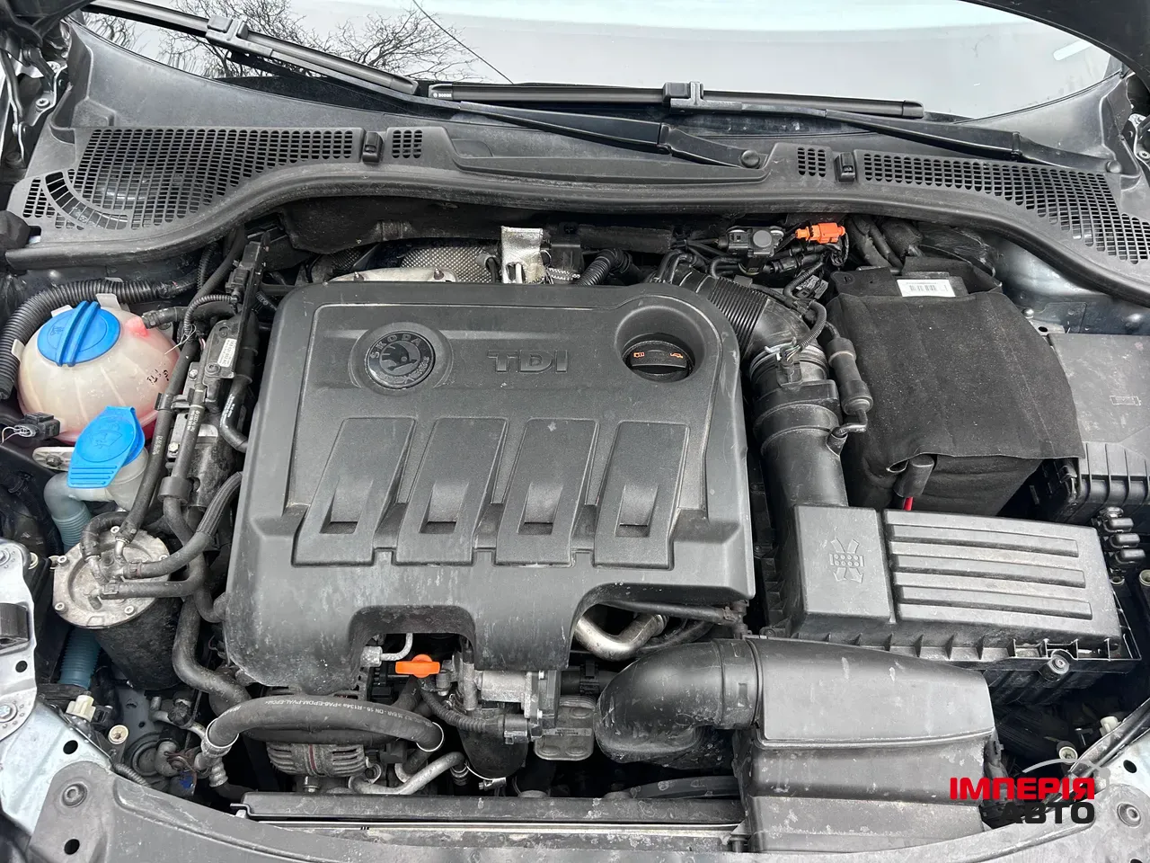 Skoda Octavia - фото 16