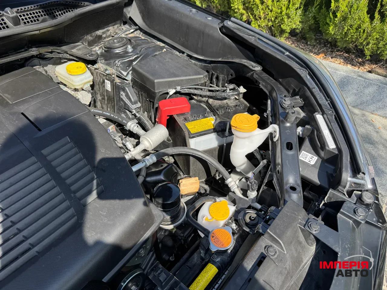 Subaru Forester - фото 5