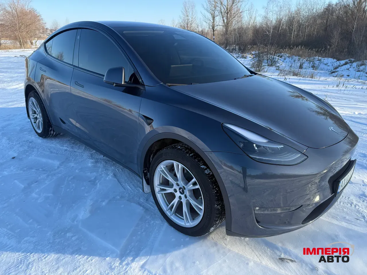 Tesla Model Y - фото 3