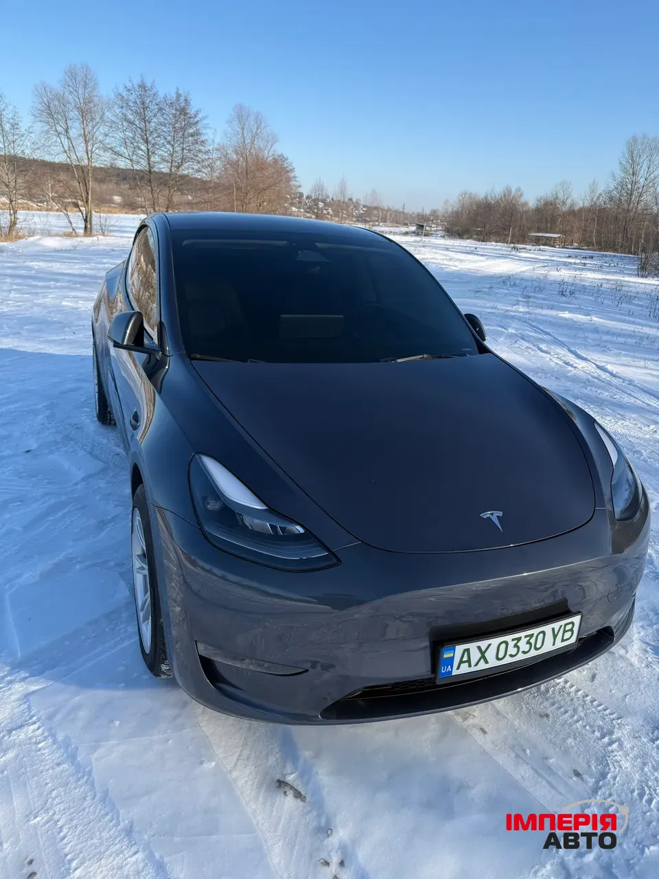 Tesla Model Y - фото 4