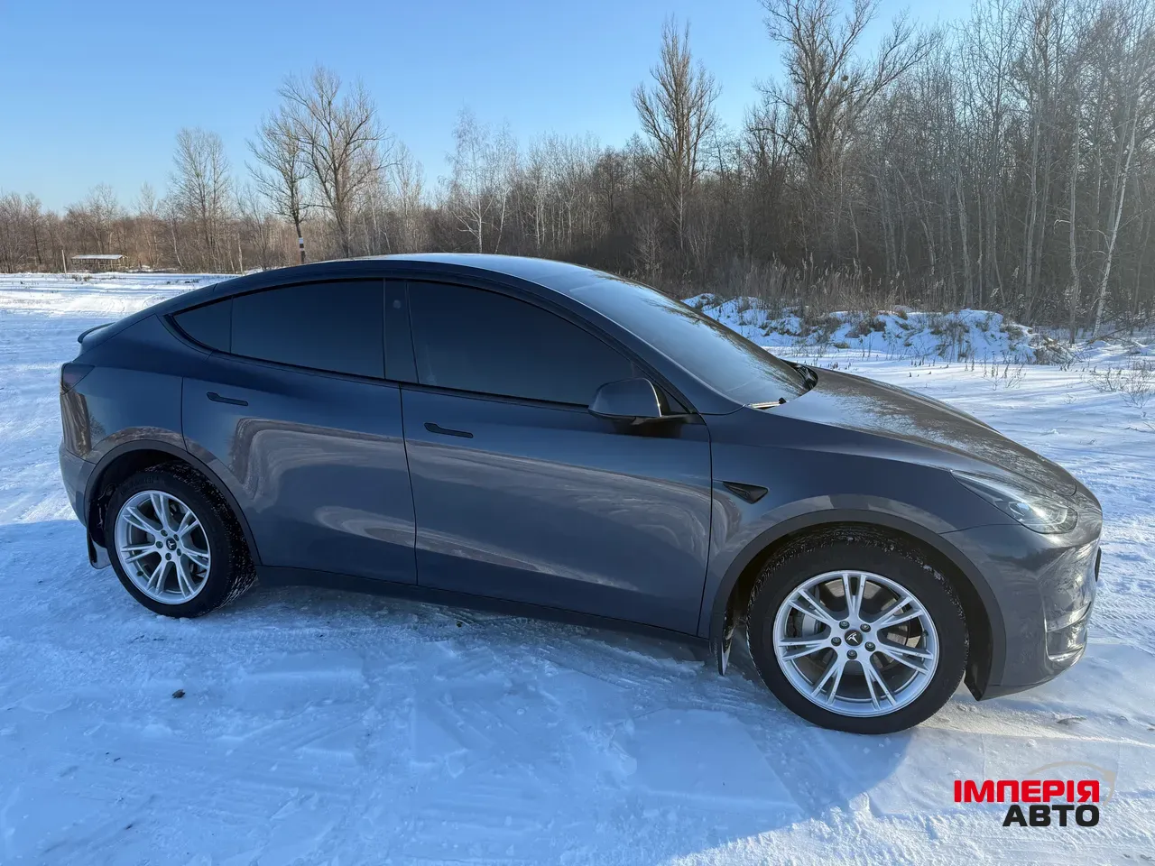 Tesla Model Y - фото 5