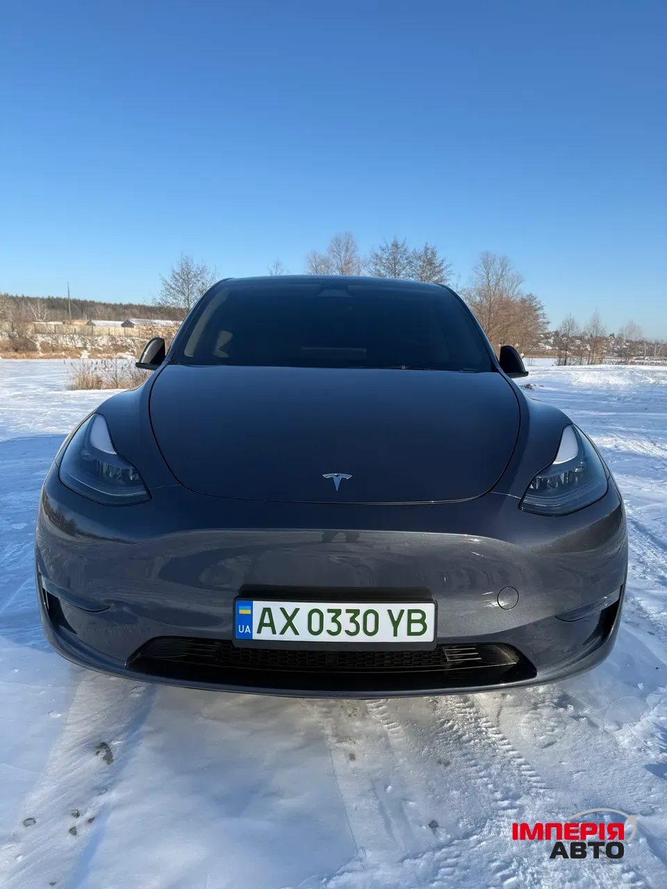Tesla Model Y - фото 1