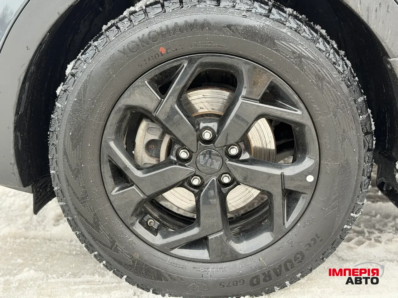 Kia Sportage - фото 4