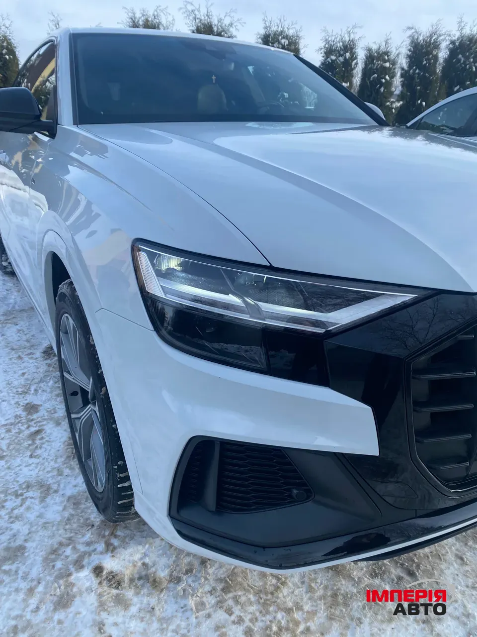 Audi Q8 - фото 4