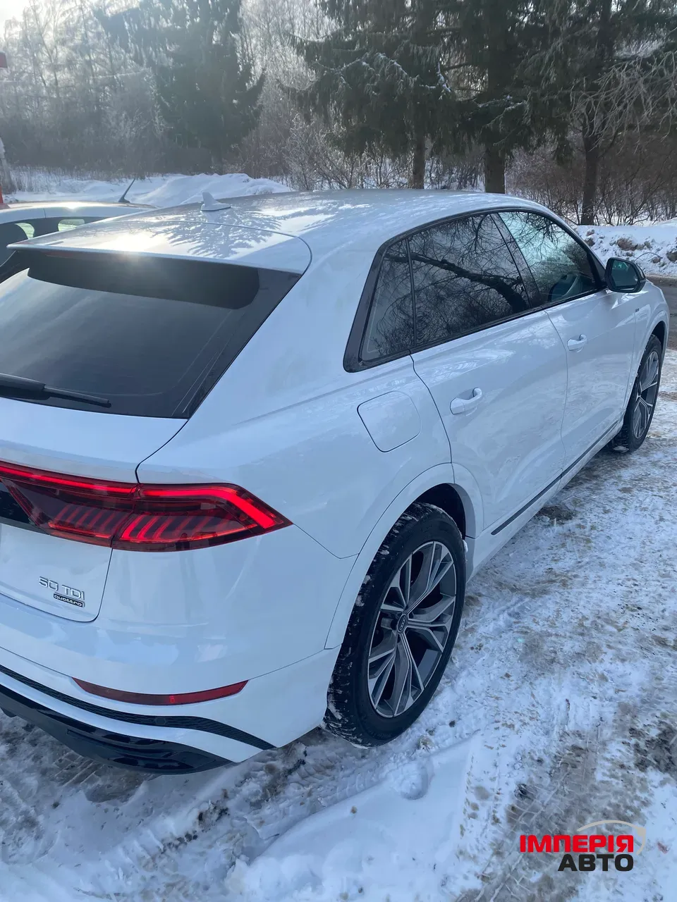 Audi Q8 - фото 6