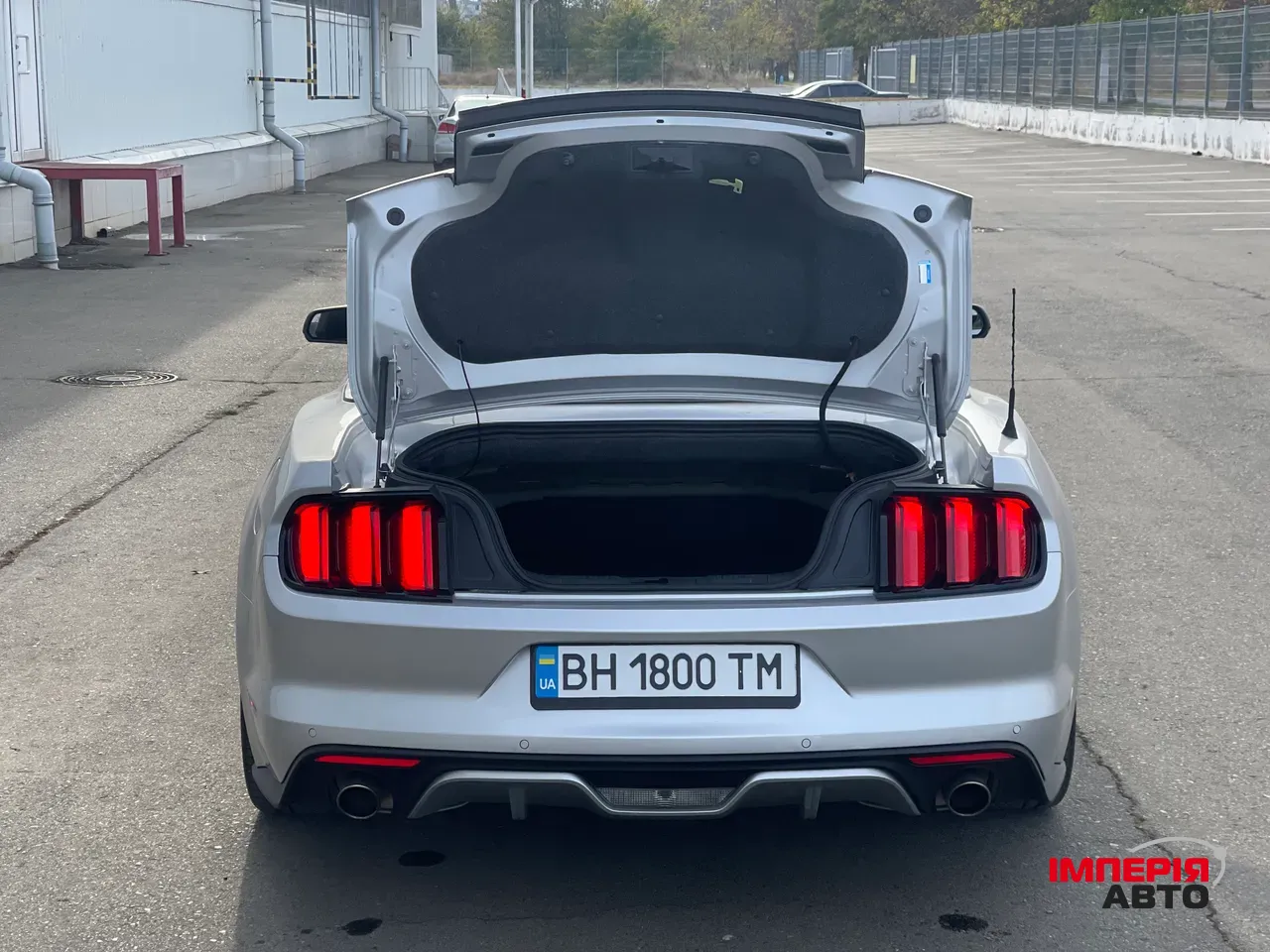 Ford Mustang - фото 41