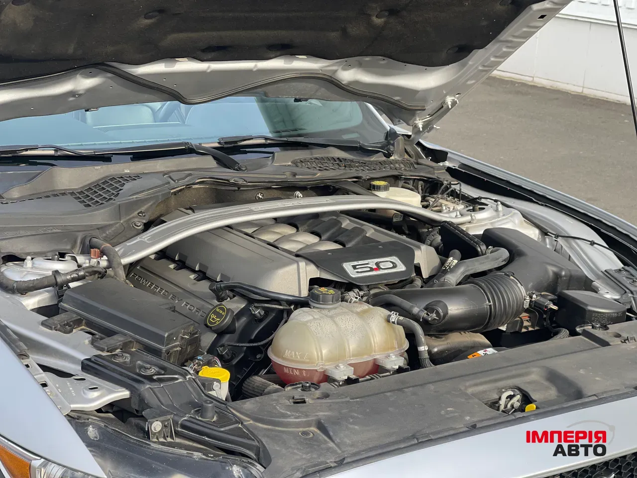 Ford Mustang - фото 13