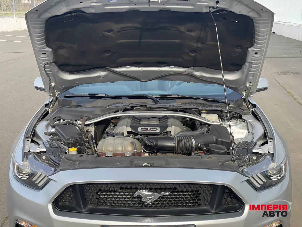 Ford Mustang - фото 12