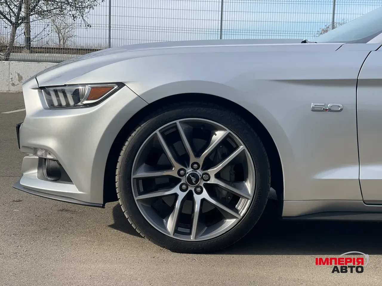 Ford Mustang - фото 25