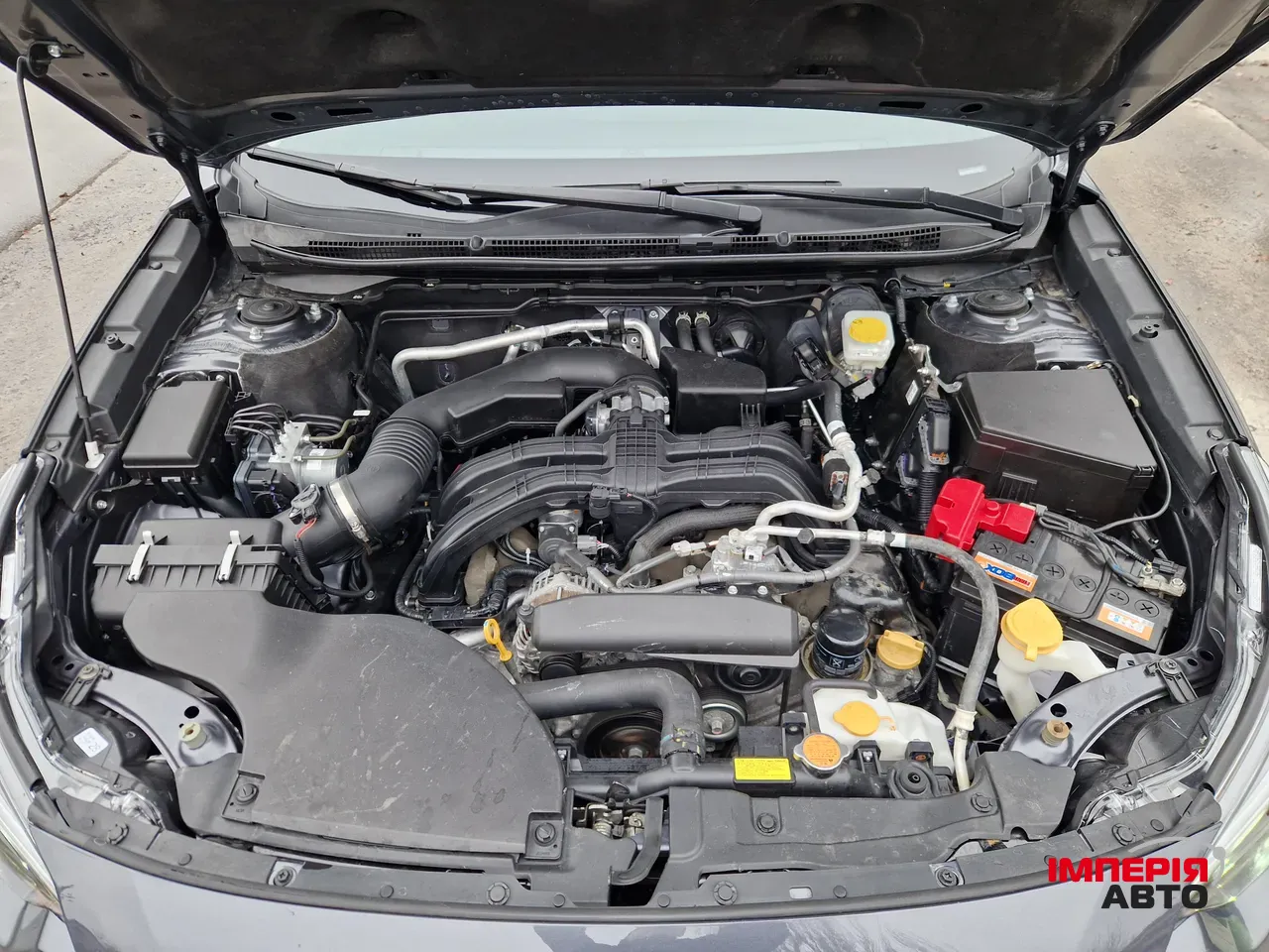 Subaru Outback - фото 45