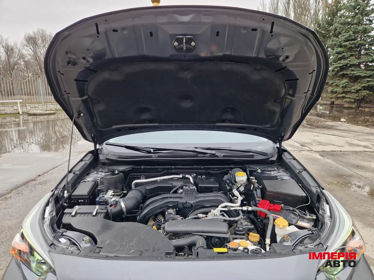 Subaru Outback - фото 46