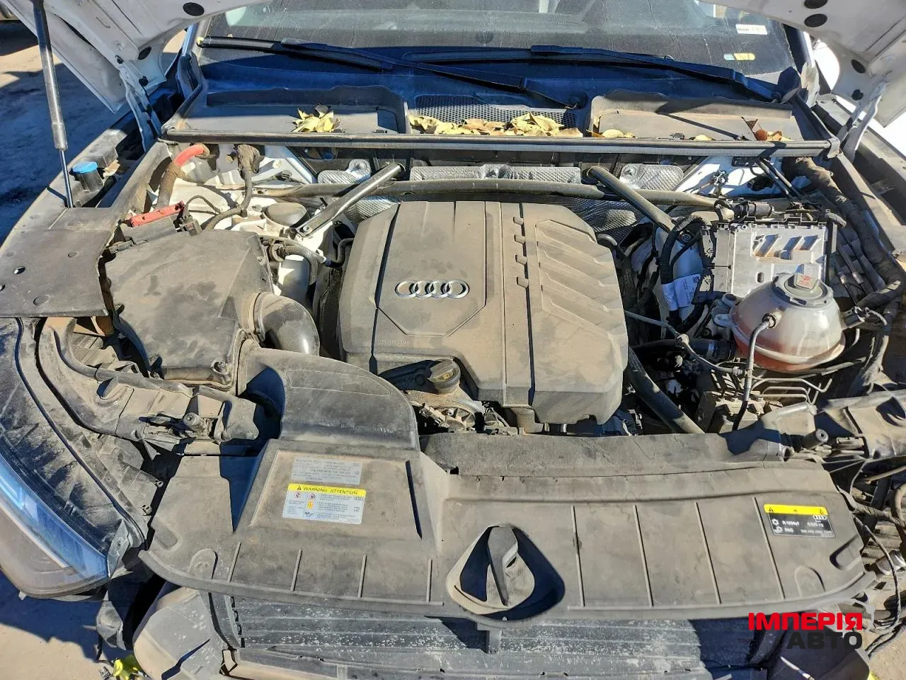 Audi Q5 - фото 11