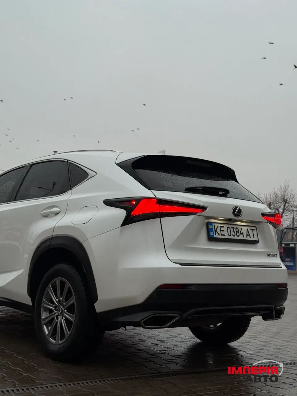 Lexus NX - фото 3