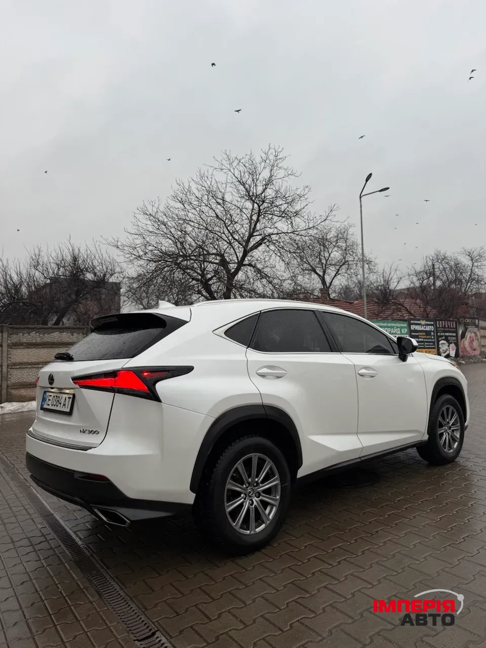 Lexus NX - фото 6