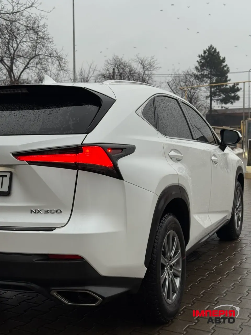 Lexus NX - фото 7