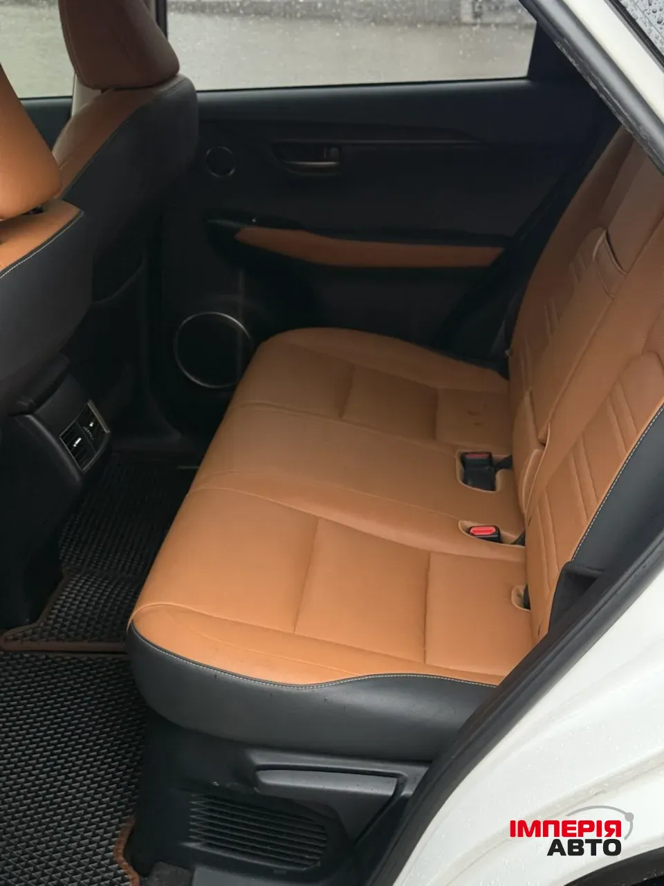 Lexus NX - фото 17