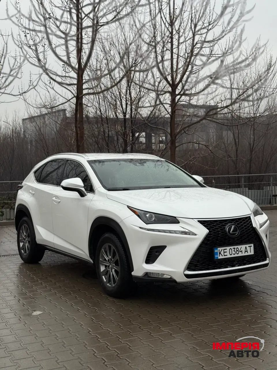 Lexus NX - фото 1