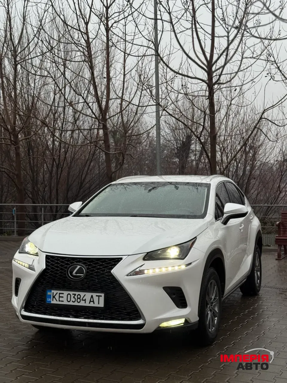 Lexus NX - фото 2