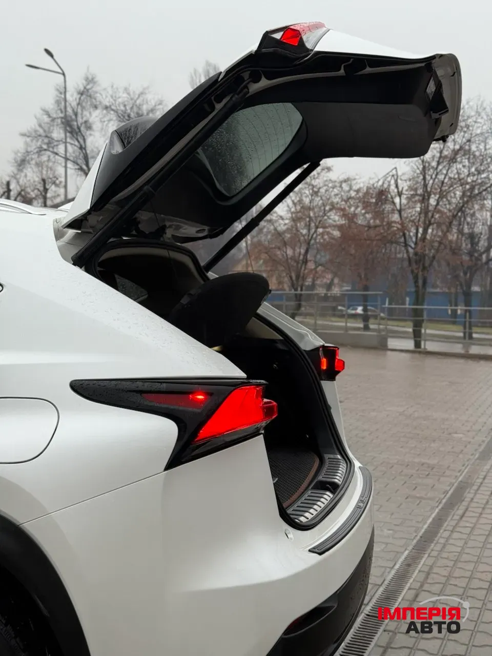 Lexus NX - фото 25