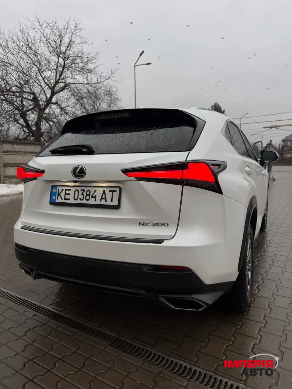 Lexus NX - фото 8