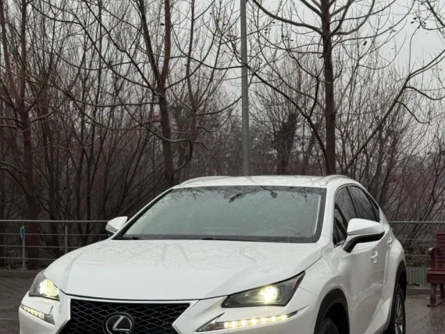 Lexus NX - фото 2