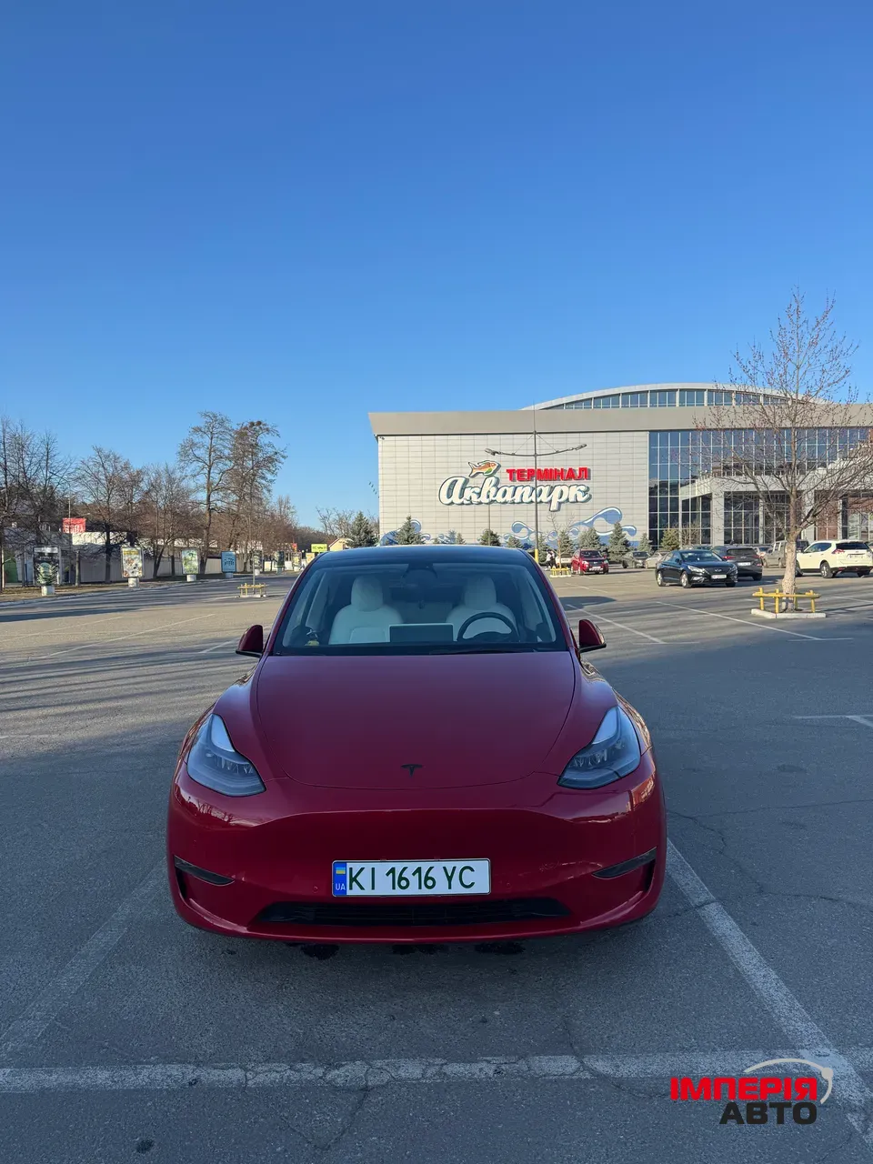 Tesla Model Y - фото 5