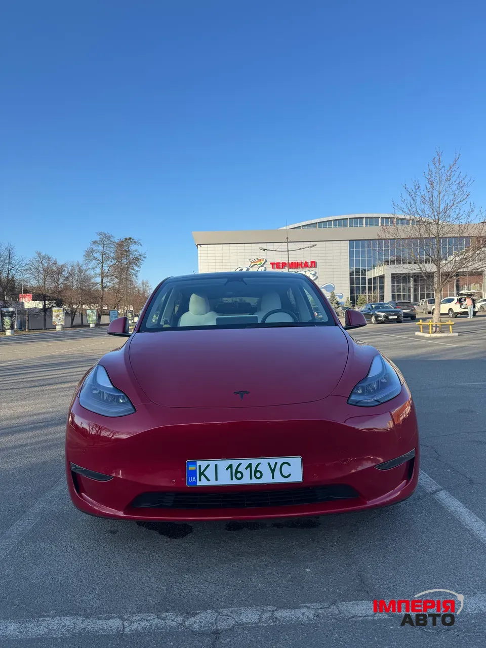 Tesla Model Y - фото 2