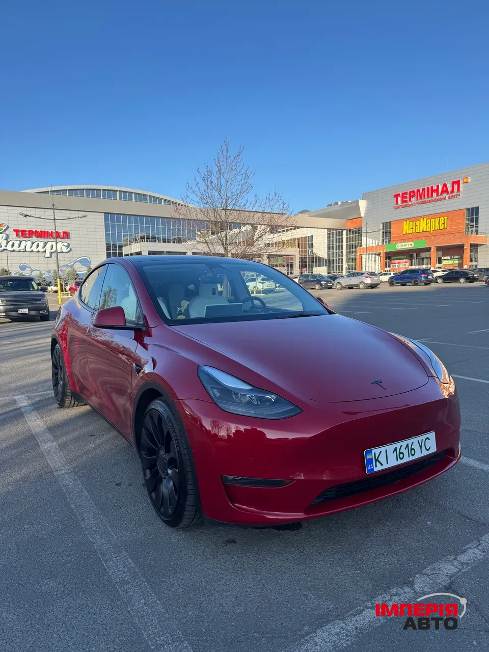 Tesla Model Y - фото 1