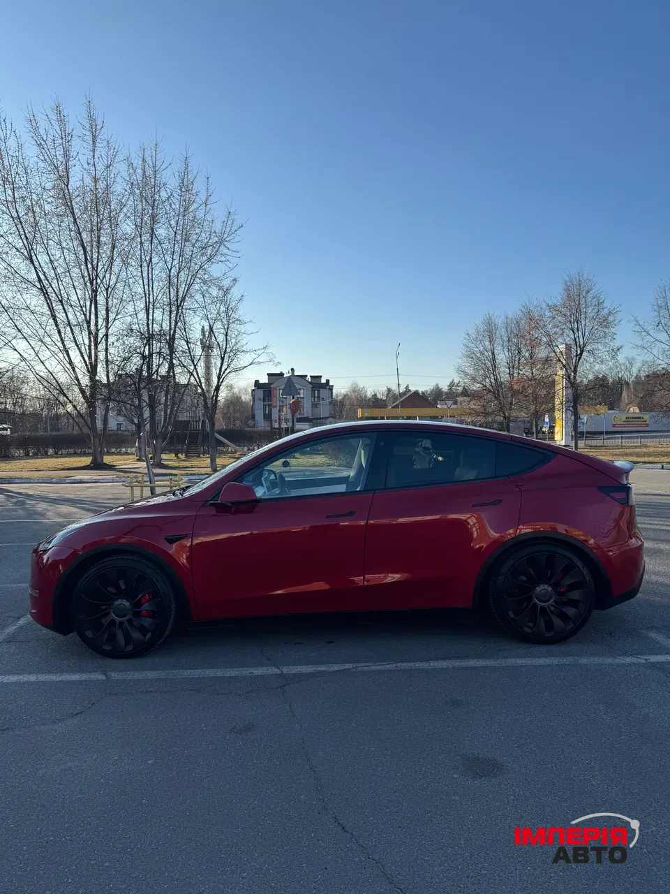 Tesla Model Y - фото 3