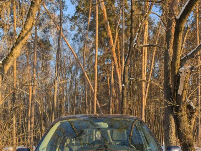 Renault Megane - фото 1