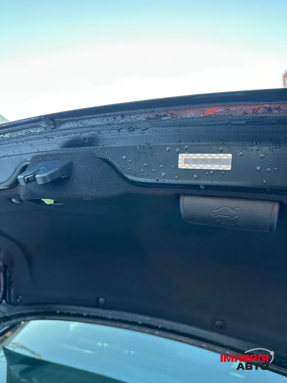 Kia Forte - фото 17