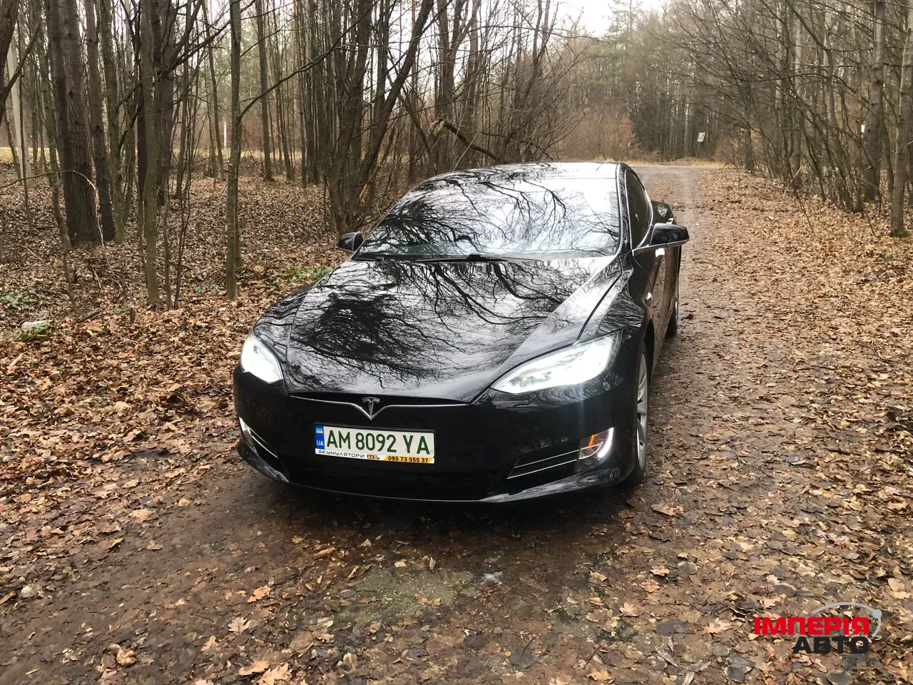 Tesla Model S - фото 1
