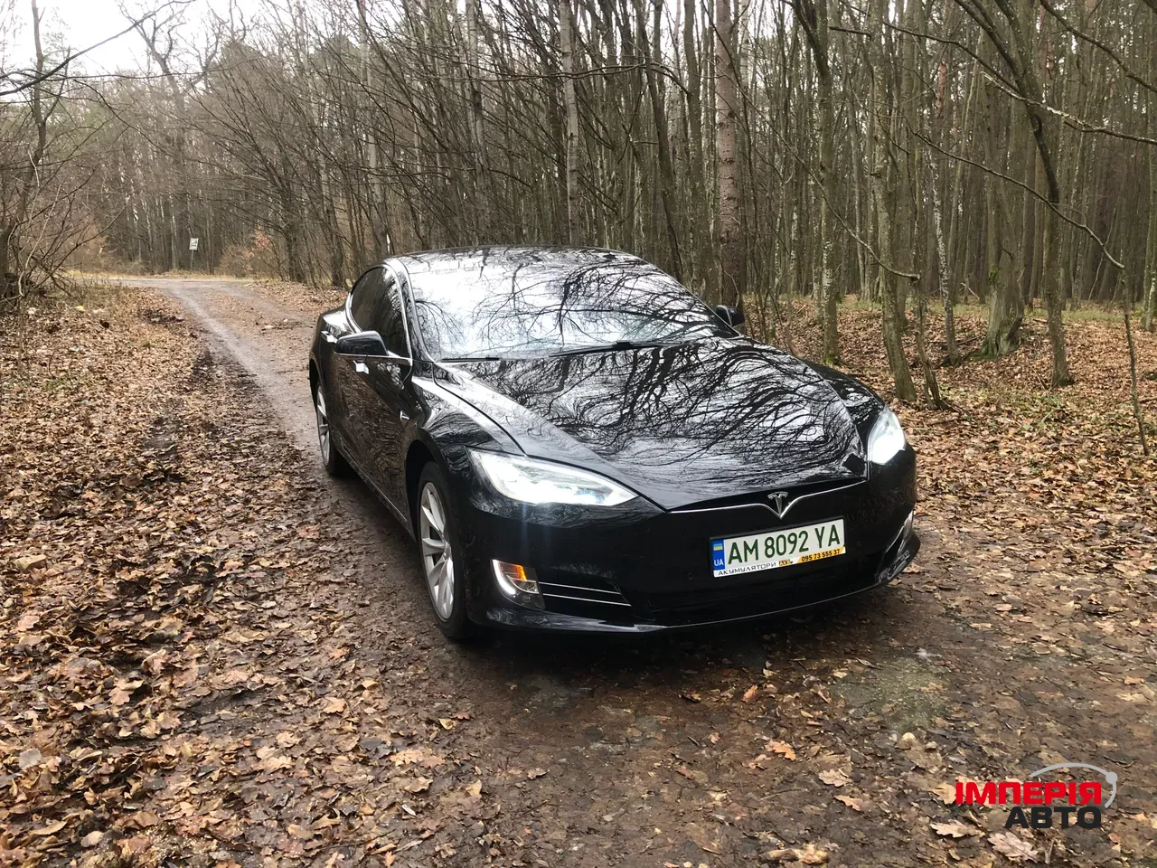Tesla Model S - фото 2