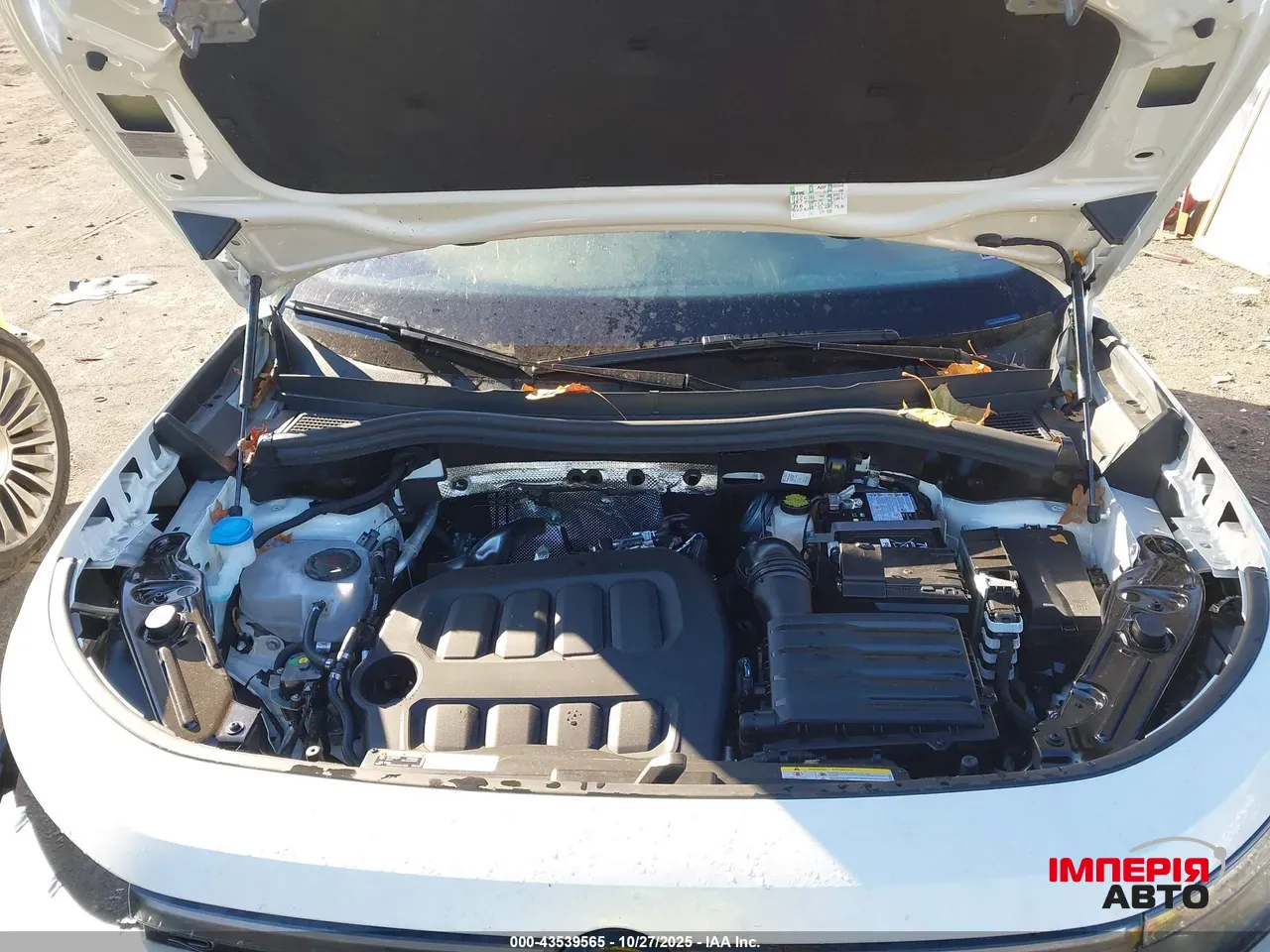 Volkswagen Tiguan - фото 9