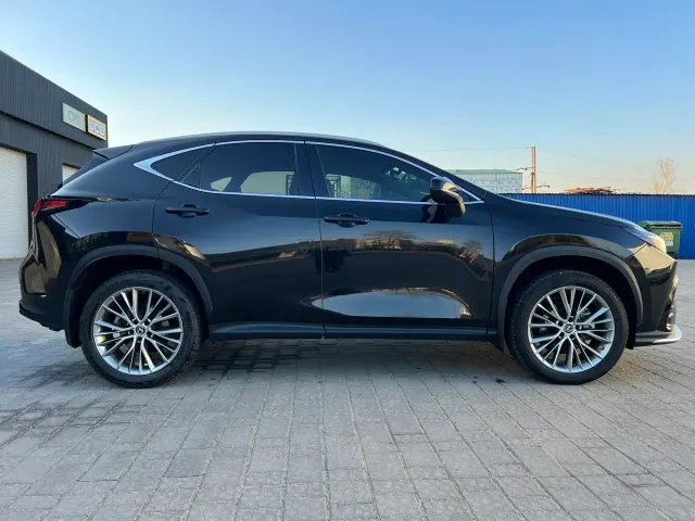 Lexus NX - фото 5