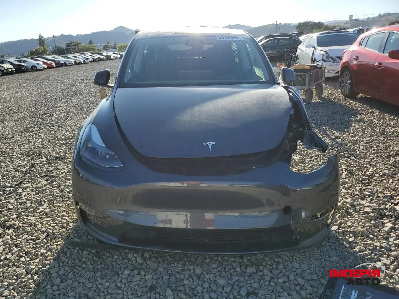 Tesla Model Y - фото 7