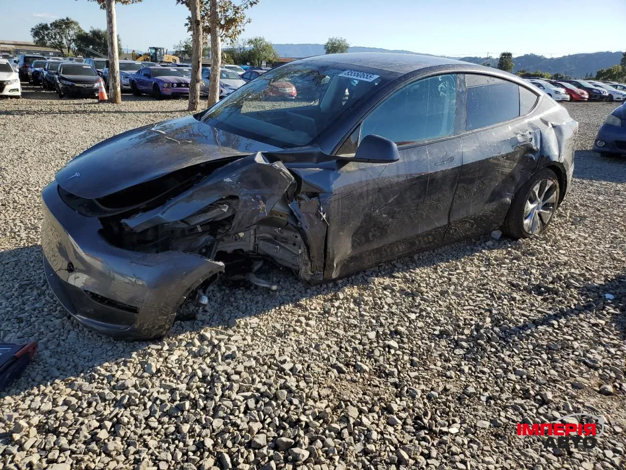 Tesla Model Y - фото 5