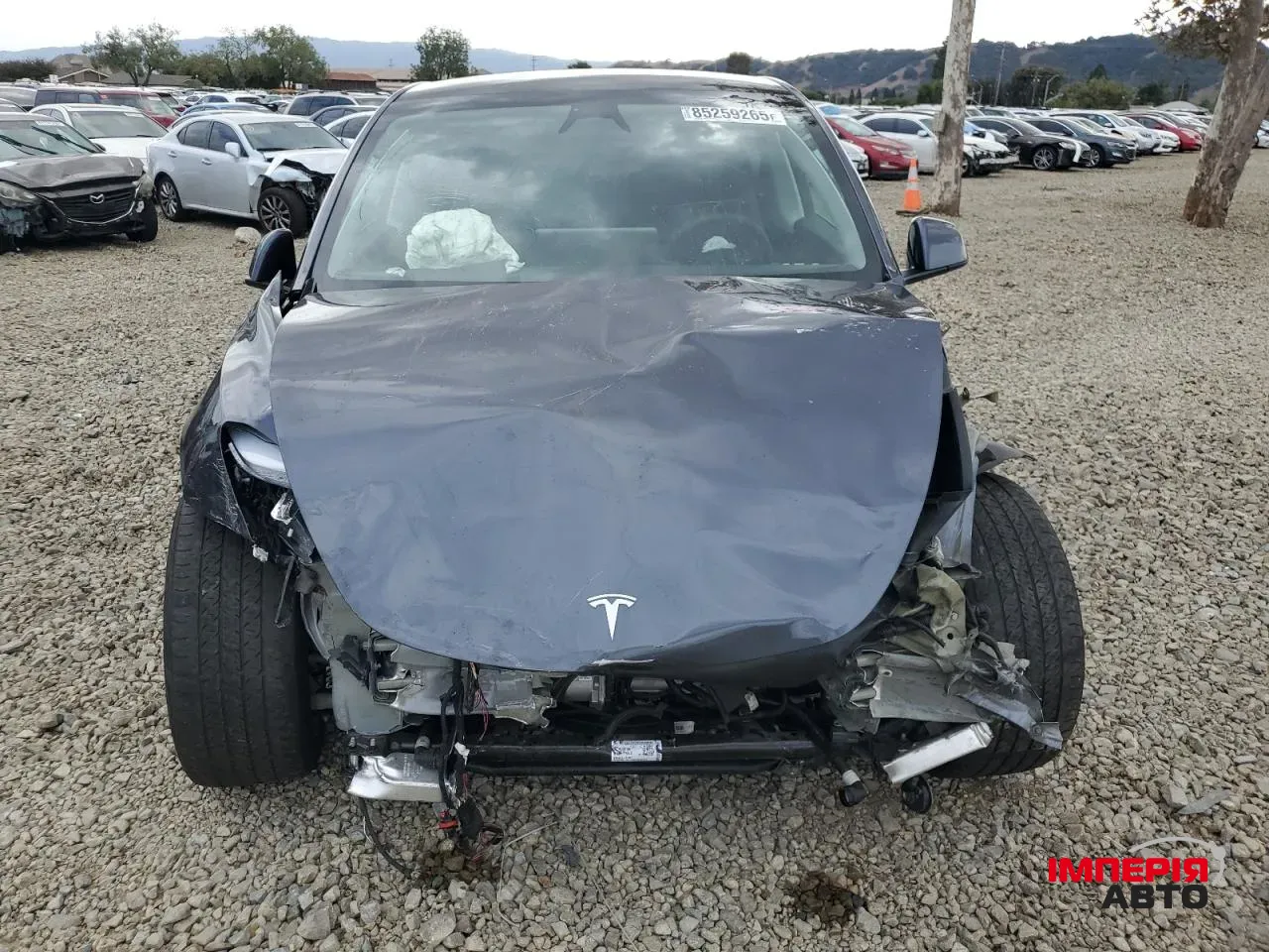 Tesla Model Y - фото 4