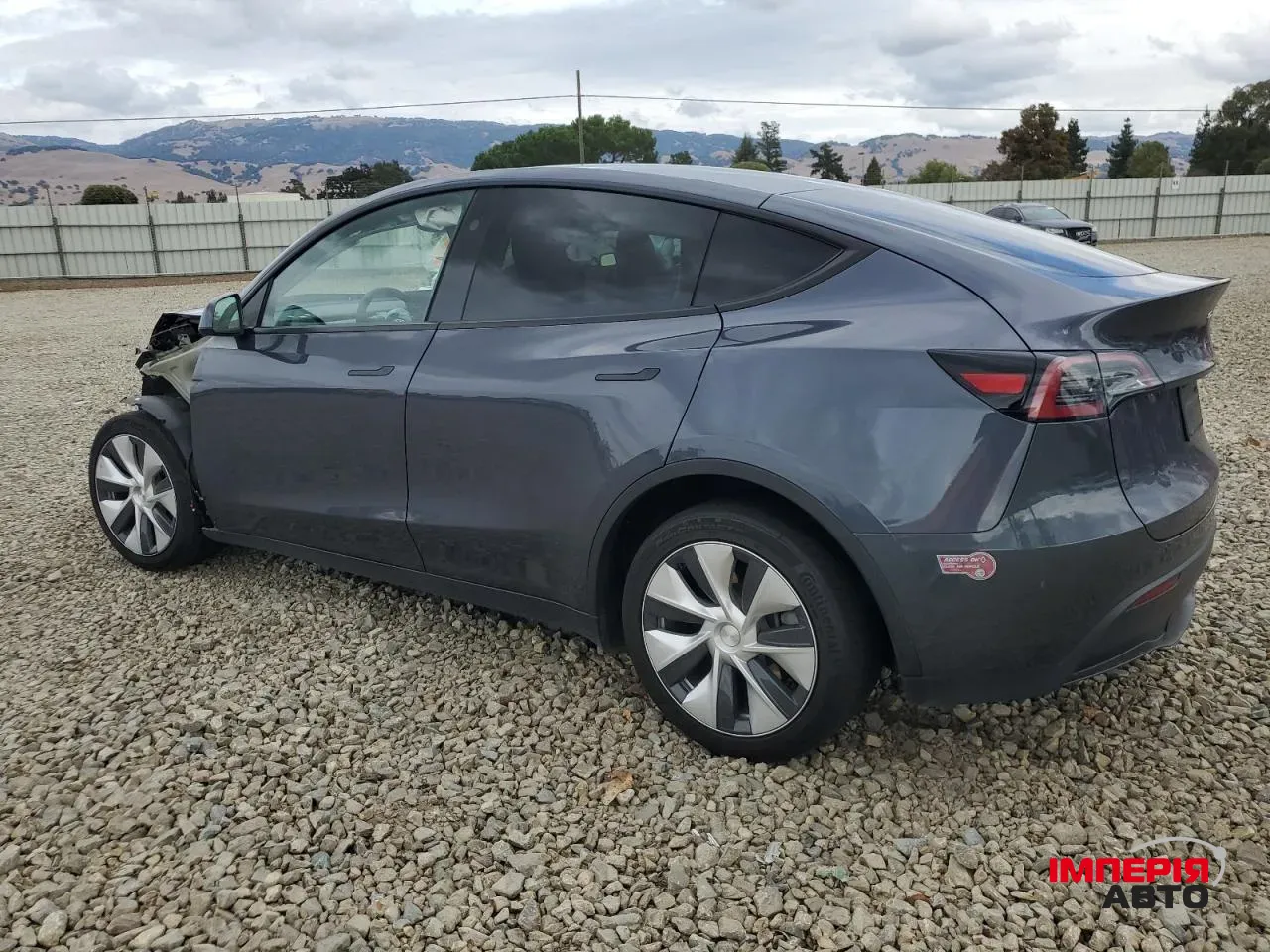 Tesla Model Y - фото 1