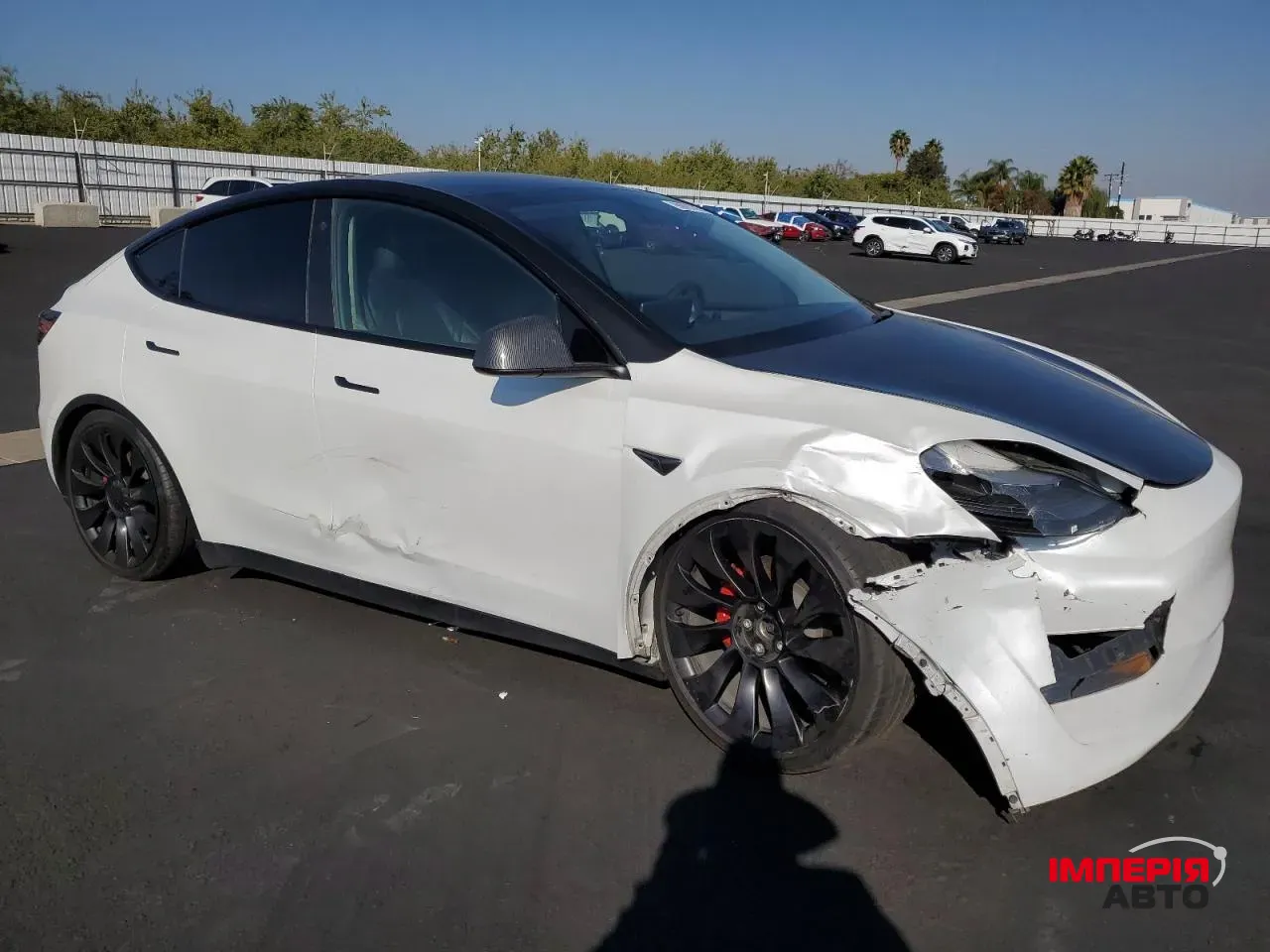 Tesla Model Y - фото 6