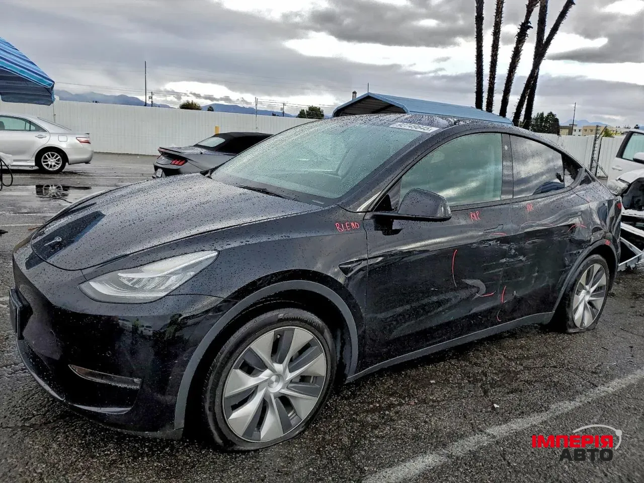 Tesla Model Y - фото 10